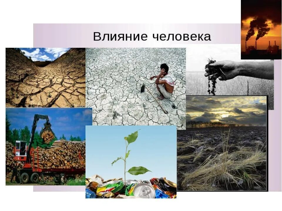 Примеры влияния человека на живую природу. Влияние человека на природу. негативное влияние человека на природу. влияние деятельности человека на природу. последствия влияния человека на природу.