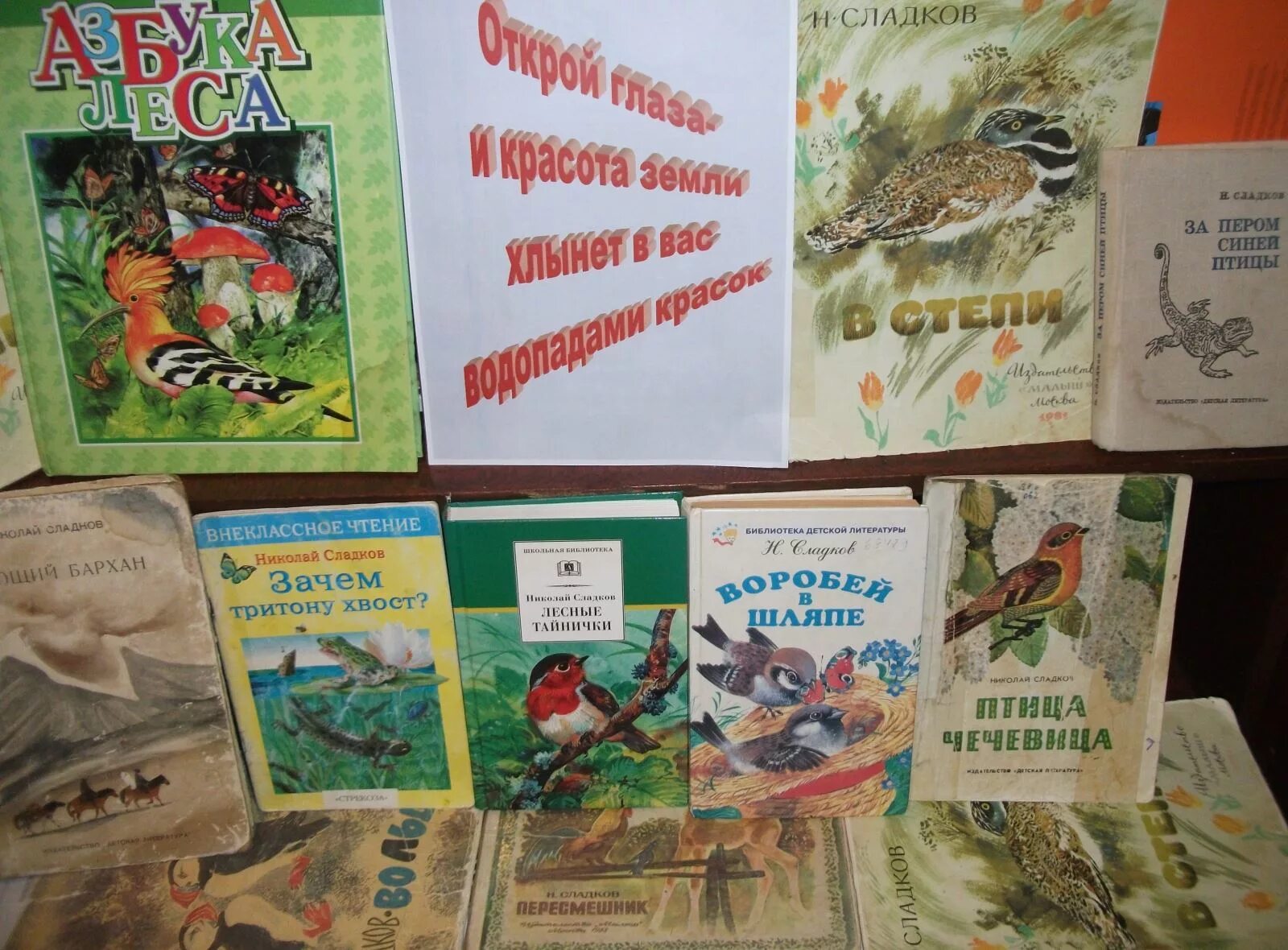 Сладков Планета чудес. Сладков Планета чудес читать. Сладков Планета чудес 1962 книга.