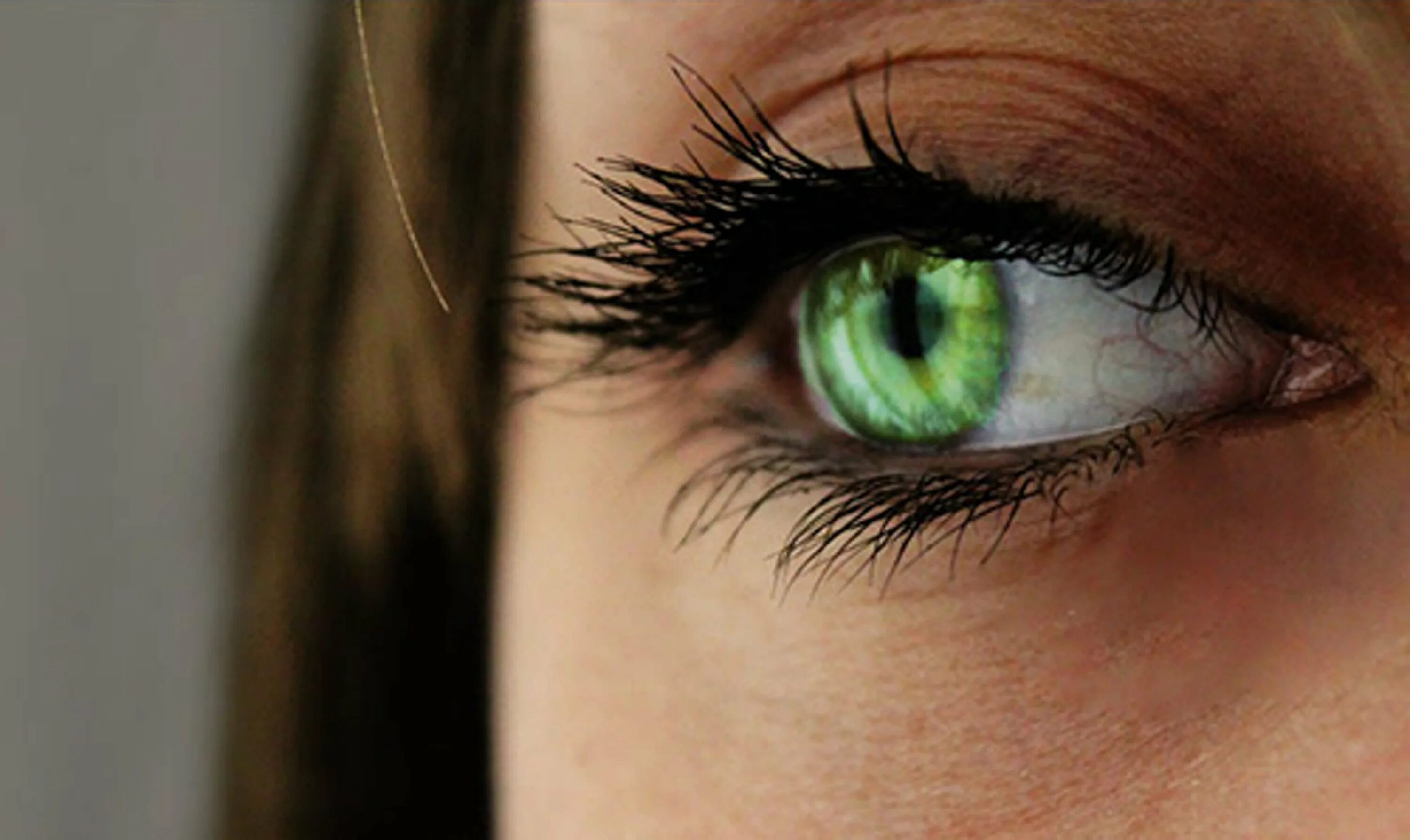 Зелёный Хазел цвет глаз. Хейзел цвет глаз. Янтарно зеленый цвет глаз. Жёлто-зелёный цвет глаз.