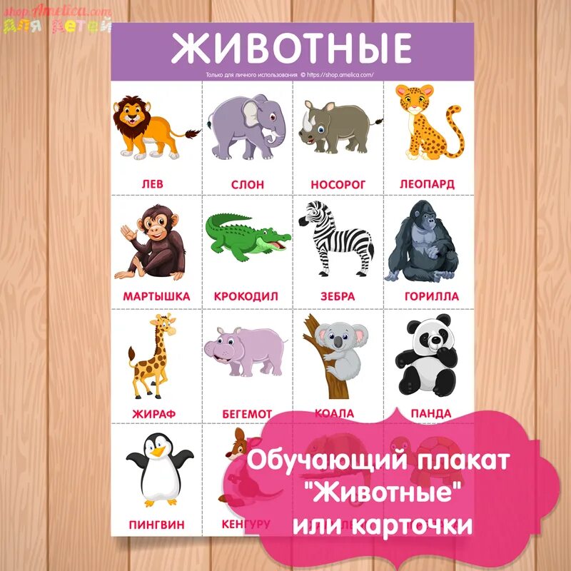 Развивающие плакаты. Детские обучающие плакаты. Плакат животные для детей. Плакат с животными для детей. Животные обучающие для детей