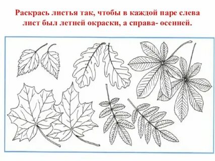 Лист мир