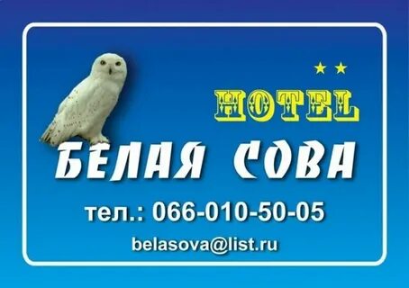 Центр белая сова