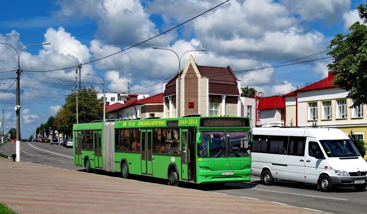 МАЗ 105. МАЗ 105.465 белорусский красный крест. Автобус МАЗ 105. Гомель общественный транспорт.