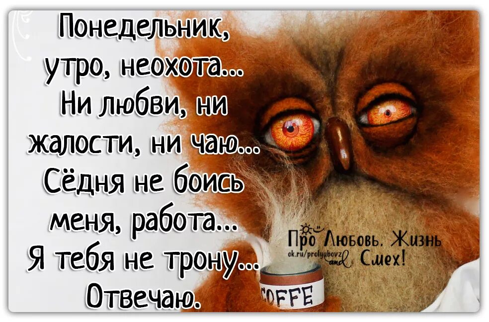 В смысле устала. Статус про понедельник. Цитаты про понедельник. Мысли о понедельнике. Афоризмы про понедельник.