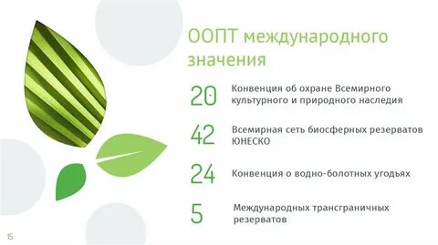Международные охраняемые природные территории