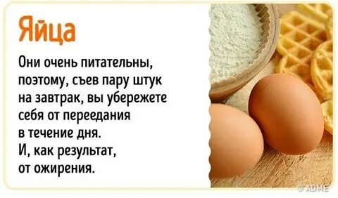 Существует такое выражение бесплатных завтраков не бывает