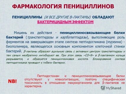Пенициллины эффективны в отношении