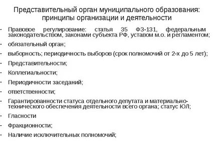 Местный представительный орган