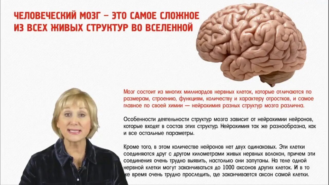 Изучают ли мозг. Мозг управляет. Управлять своим мозгом. Мозг управляет человеком. Мозг управляет нами.