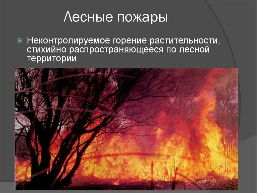 Неконтролируемое горение растительности. ЧС природного характера Лесные пожары. Лесные пожары горение растительности стихийно распространяющееся по. Лесной пожар это неконтролируемое горение растительности.