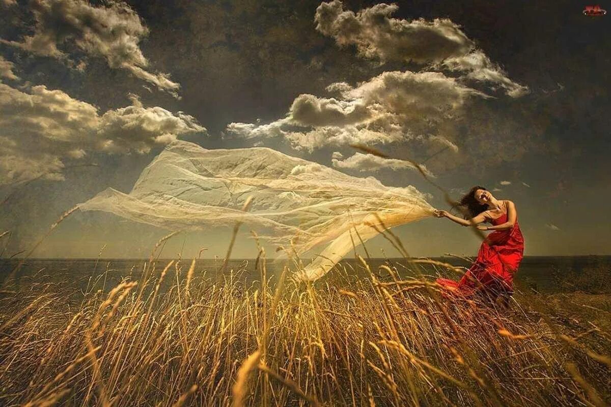 Весь день дул сильный ветер. Ветер в поле. Женщина на ветру. Девушка в степи. Сильный ветер в поле.