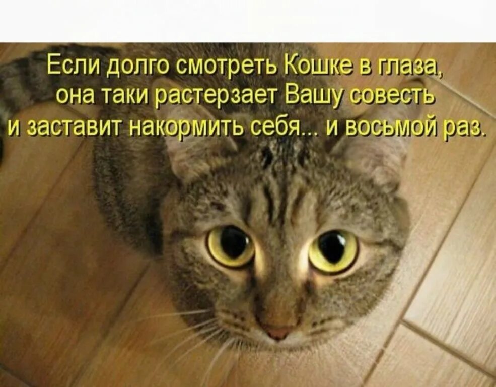 С новым годом по юлианскому календарю. Праздники в декабре. Почему новый год празднуют 1 января. 2 января поздравления. Второе января праздник.