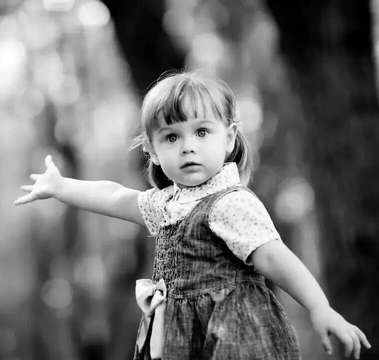 Стихи про бездомных кошек. Одинокий кот. Бездомный кот. Девушка на качелях. Собака в заборе прикол.