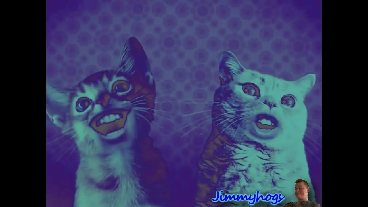 Preview 2 numa cat effects. Numa numa. кошка танцует. preview 2 henry stickman triangle effects (sponsored by klasky csupo 2001 effects)....