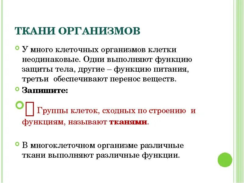 Группа клеток организма выполняющих