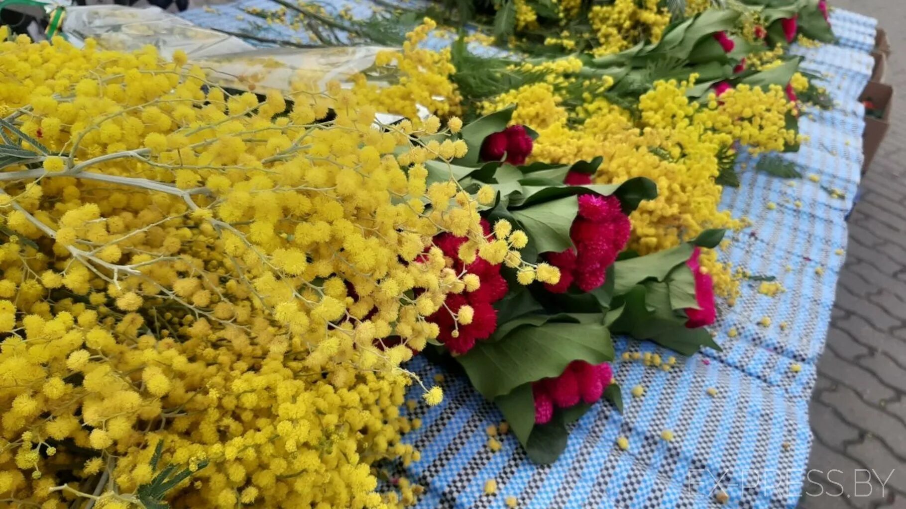 Как сохранить срезанную мимозу в вазе