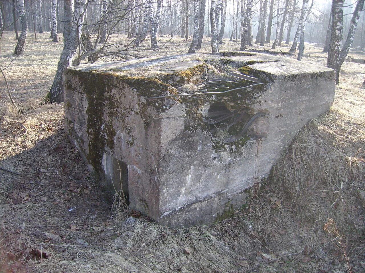 Март 42 года. Зайцева гора немецкая фотохроника. Зайцева гора Зайцево. Зайцева гора Калужская область бои.