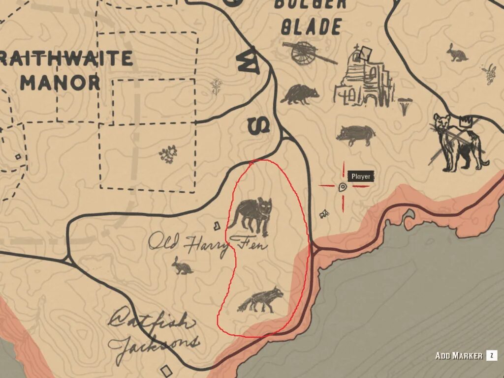 Рдр 2 собаки. Red Dead Redemption 2 пантера на карте. Rdr 2 Пума на карте. Пума РДР 2. Red Dead Redemption 2 Пума.