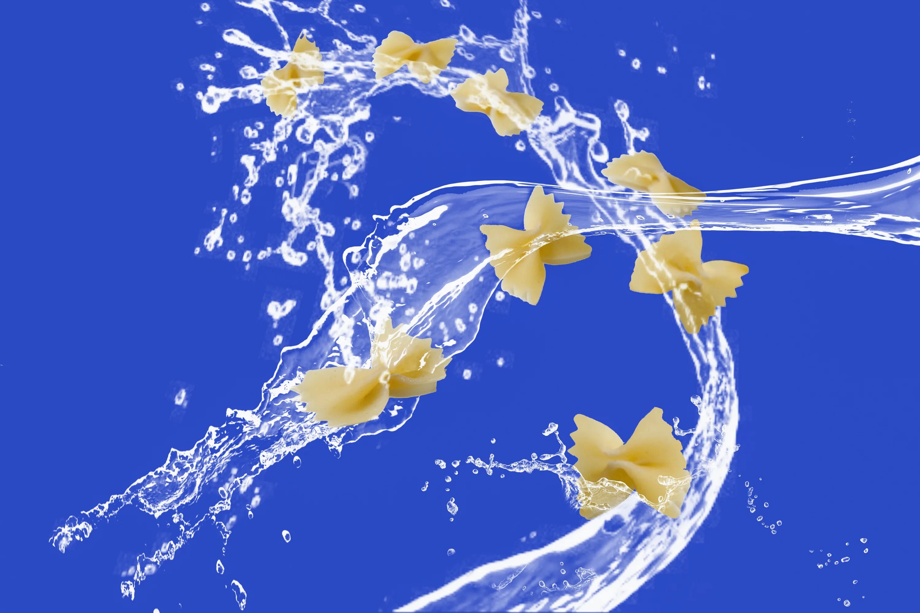 Pasta water. Брызги пасты макарон. splash паста. ромашки splash water. картины модули живые хризантемы с брызгами воды.