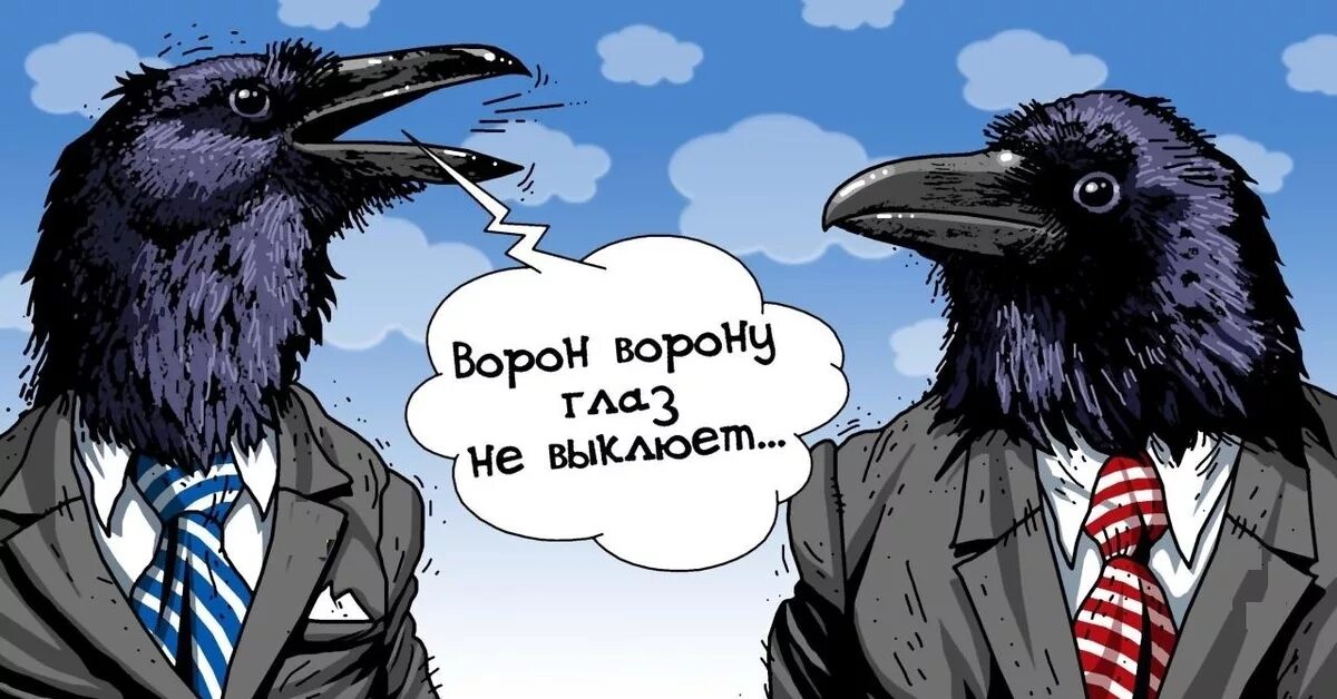 Ворон ворону глаз не выклюет. Ворон вороне глаза не ввклюннт. Поговорка ворон ворону глаз не выклюет. Ворон карикатура.