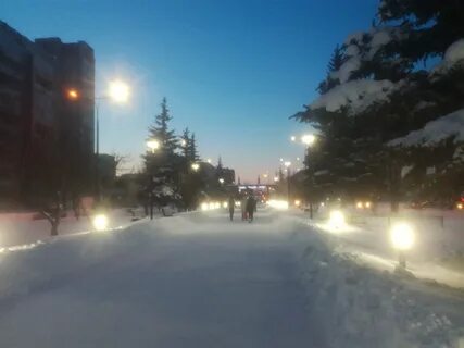 Морозы йошкар ола