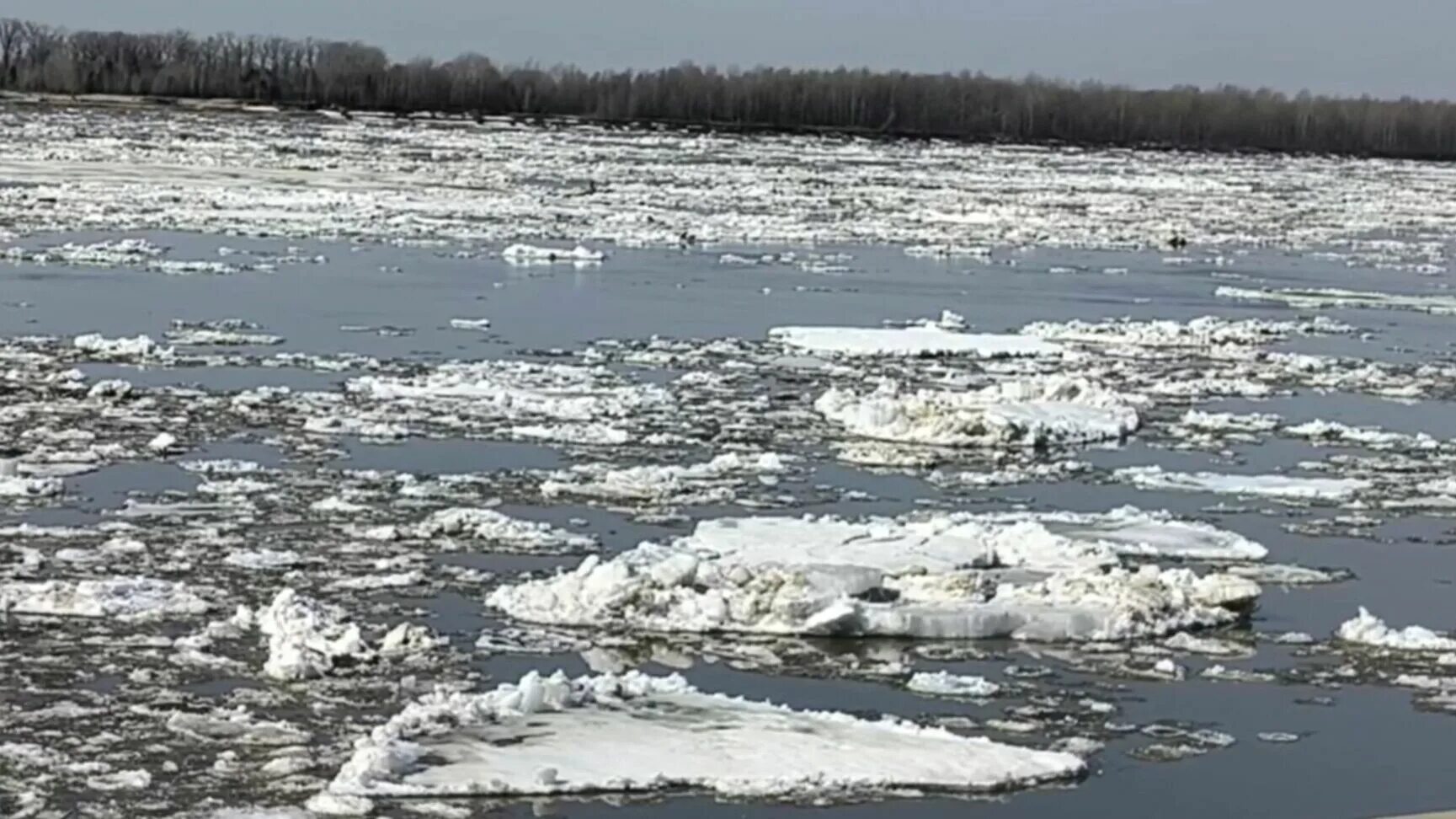 Уровень вода обь нижневартовск 2025. Ледоход на иртыше 2025 в ханты-мансийске. ледоход новый уренгой. октябрьское хмао ледоход. ледоход в белоярском хмао река казым.