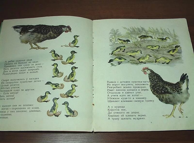 Курочка ряба и 10 утят маршак читать. Маршак курочка ряба и 10 утят текст. сказка курочка ряба и десять утят. курочка ряба и 10 утят. с маршак курочка ряба и десять утят текст.