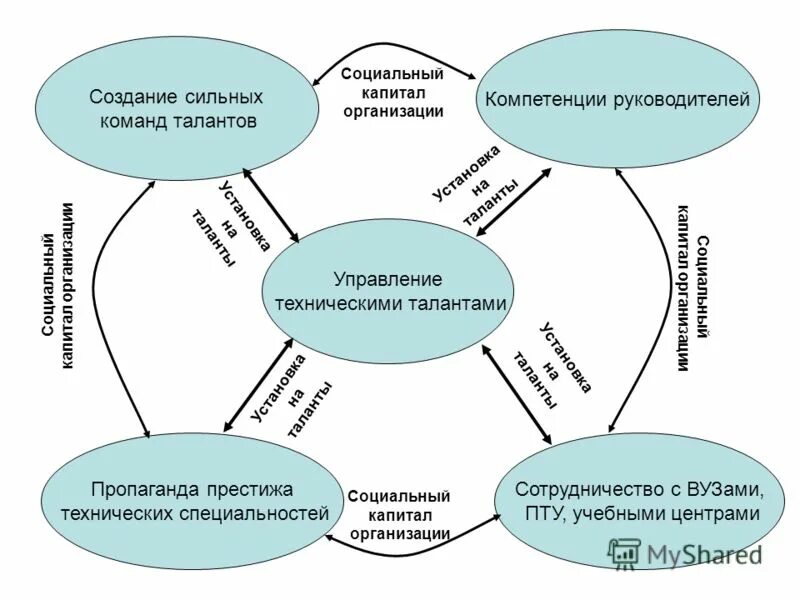 Основные навыки в организации