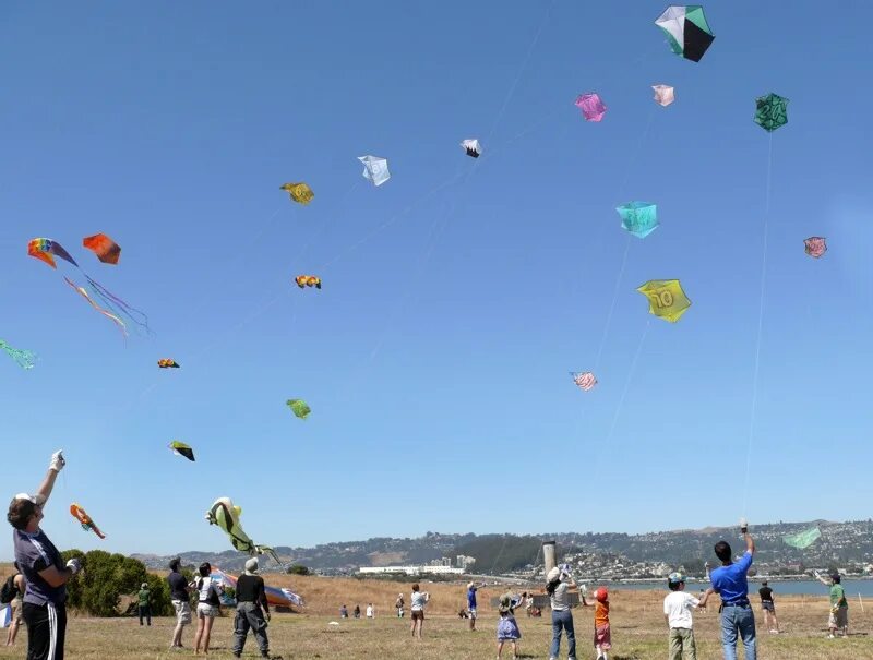 More people are flying. Makar Sankranti or Uttarayan, the Kite Flying Festival in India. Park Edinburgh Kite Flying. Kite first.