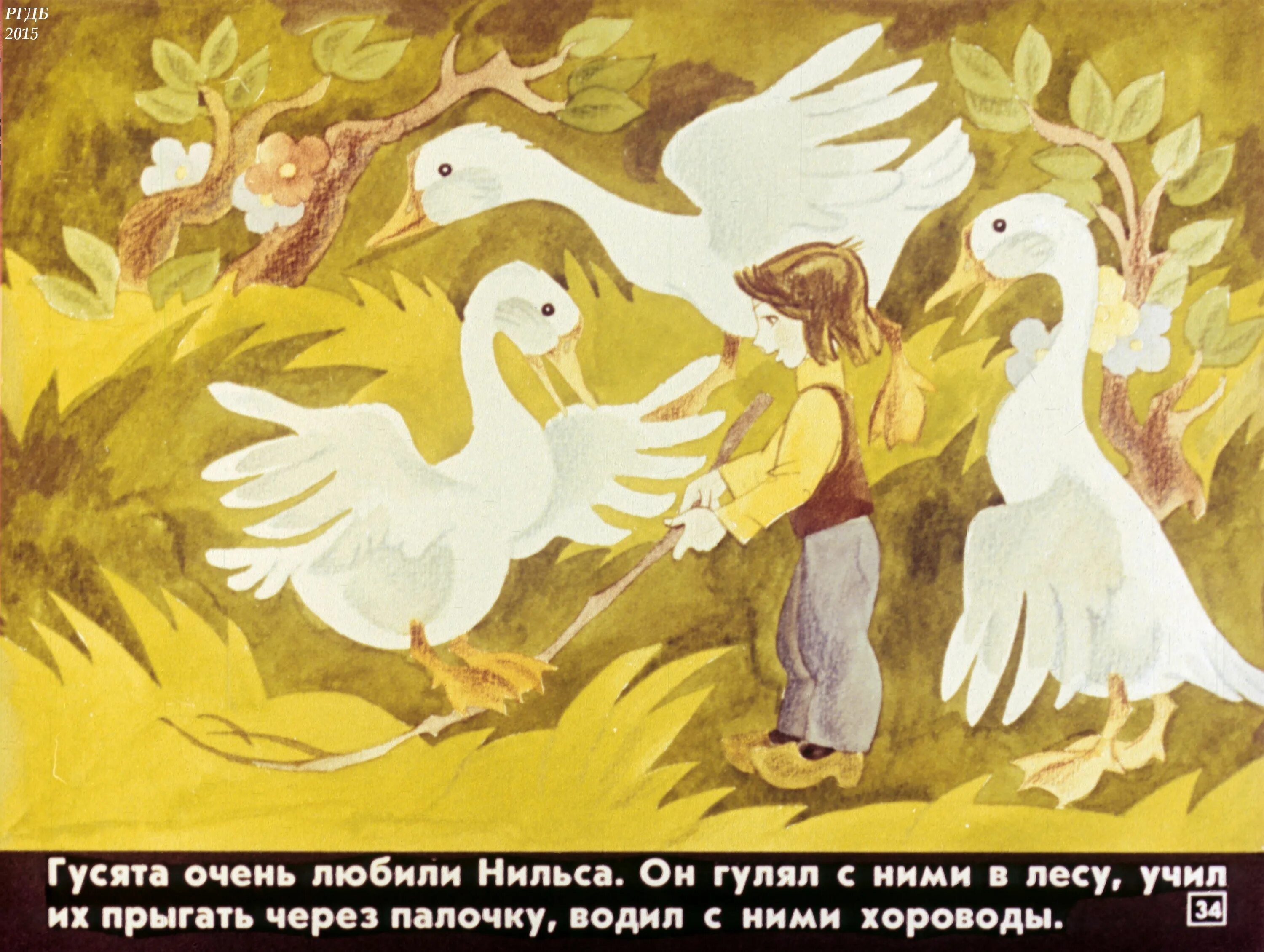 Путешествие нильса аудиосказка. Чудесное путешествие нильса с гусями. сельма лагерлеф чудесное путешествие с дикими гусями. чудесное приключение нильса с дикими гусями. чудесное путешествие нильса с дикими гусями иллюстрации.