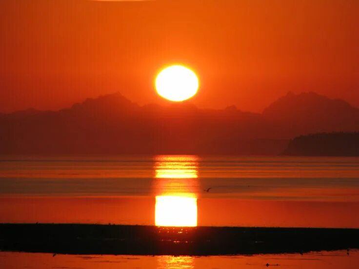 Друзья в горах. Watch the sun rise. Золотое солнце. Watch the sunrise. Человек смотрит на солнце фото.