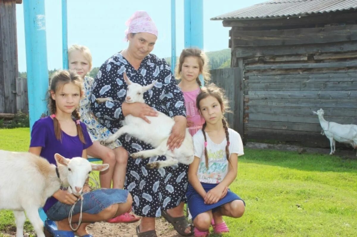 Многодетная семья не может получить. Личное подсобное хозяйство с семьей. многодетная семья в деревне. хозяйство многодетной семьи. личных подсобных хозяйств.