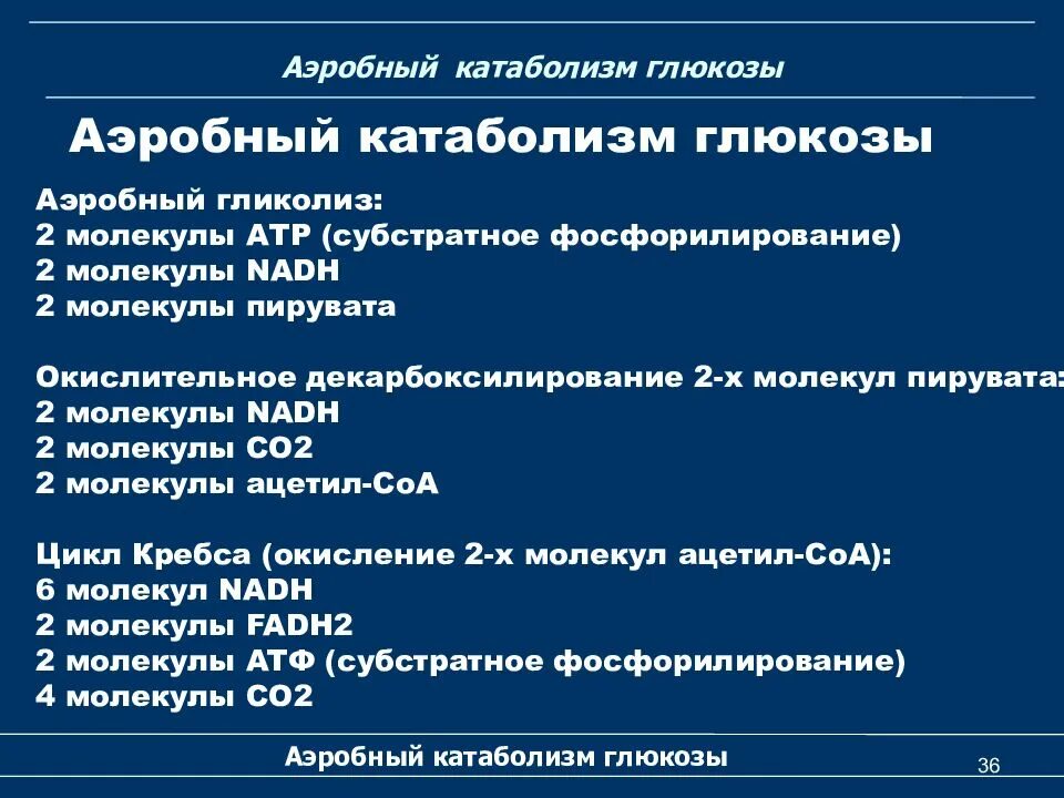 Аэробный катаболизм Глюкозы. Аэроьный катабилизм глюкозый. Катаболизм аэробный схема. Катаболизм этапы аэробный анаэробный. Этап катаболизма глюкозы