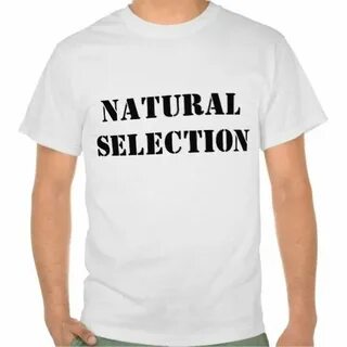 Selection текст