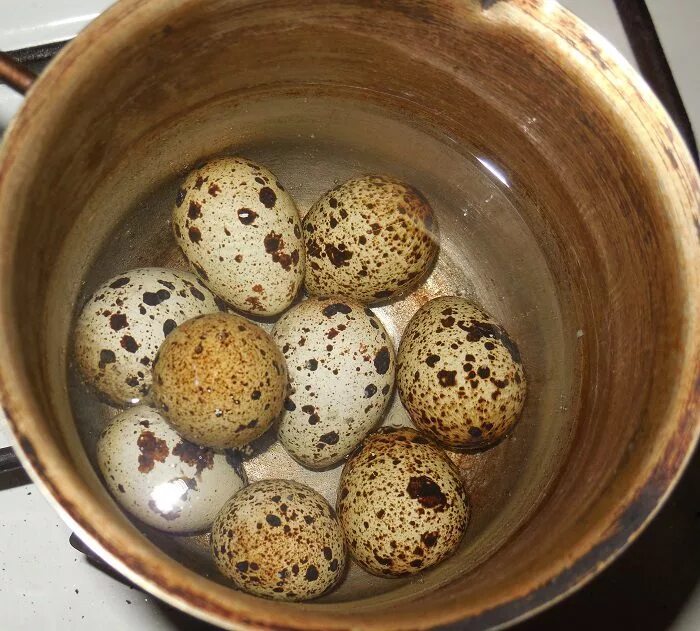 Сколько надо варить перепелиные. Перепелиные яйца вкрутую. Перепелиные яйца сырые. Перепелиные яйца польза. Варка перепелиных яиц.