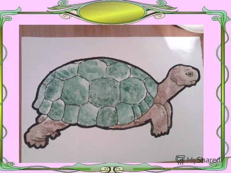 Рисование в доу черепаха. Черепаха поэтапное рисование для детей. Черепаха детский рисунок. Черепаха рисунок. Поэтапное рисование черепахи.