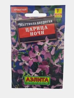Ночная фиалка семена