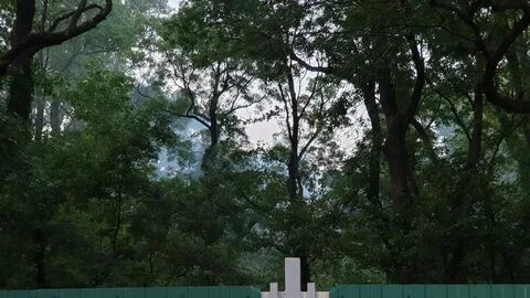 Роща в новороссийске
