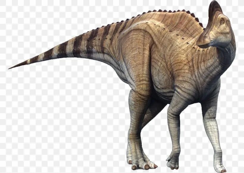 Коритозавр. Corythosaurus динозавр. ламбеозавр и коритозавр. растительноядные динозавры.