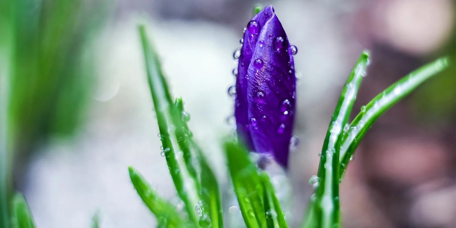 Красивые места в новосибирске для прогулок. Весенняя 6 люберцы. Весна пришла апрель. Красноярск улица весны 17. Ул весенняя 8 саратов.