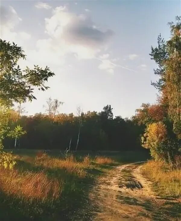 Услышано в лесном. Услышано в лесном