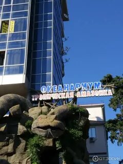 Океанариум лазаревское