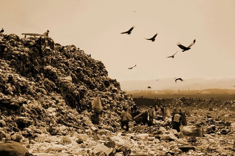 Waste land. Мусорный полигон в кабардинке. Waste land. The waste land eliot. Газель на фоне свалки.