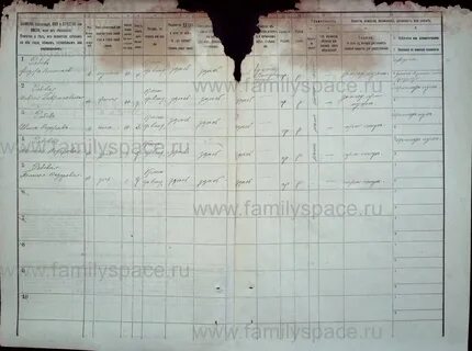 Переписи курская губерния