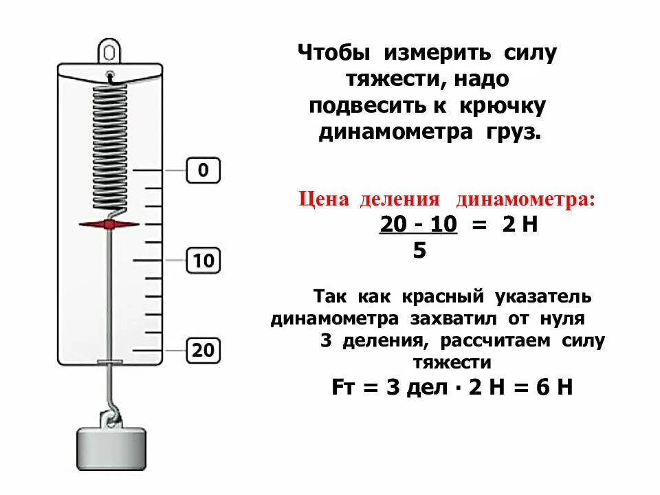 Какие силы измеряют с помощью динамометра. Какие силы измеряют с помощью динамометра