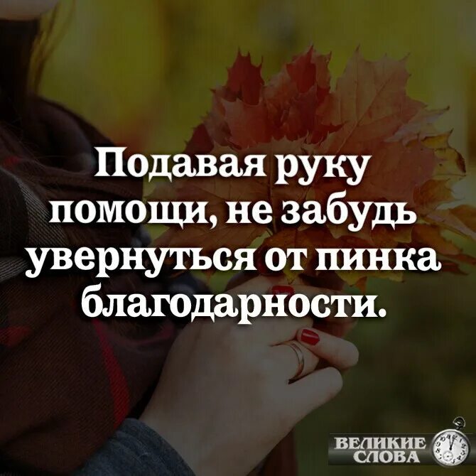 подавая руку помощи. не забудь увернуться от пинка благодарности. руку помощи пинок благодарности. руку помощи пинок благодарности. подавая руку помощи не забудь увернуться.