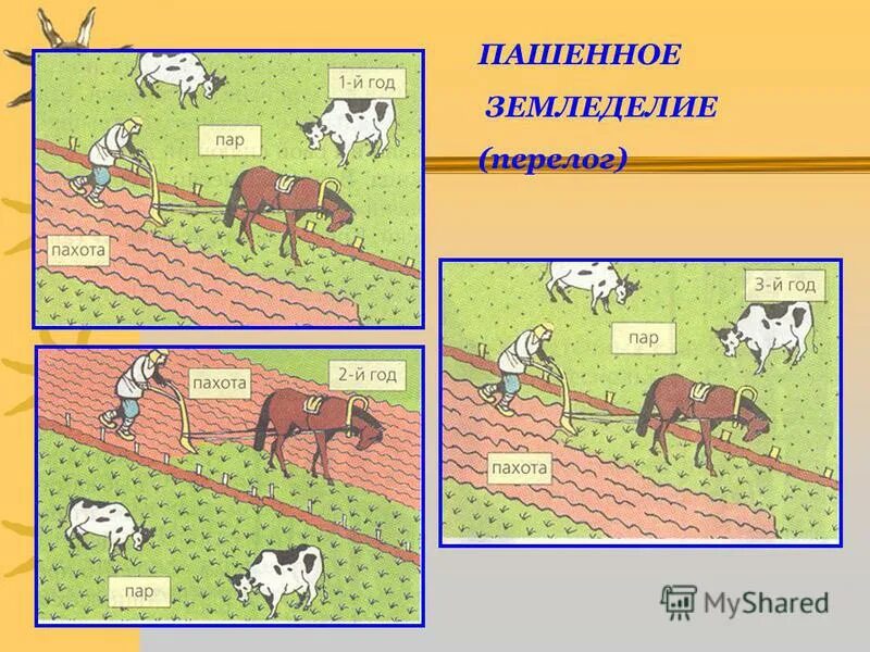 Какие преимущества имеет трехпольная система обработки земли. Переложно залежная система земледелия. Подсечно-огневое земледелие восточных славян. Подсечно огневое земледелие переложная система земледелия. Пашенное земледелие у восточных славян.