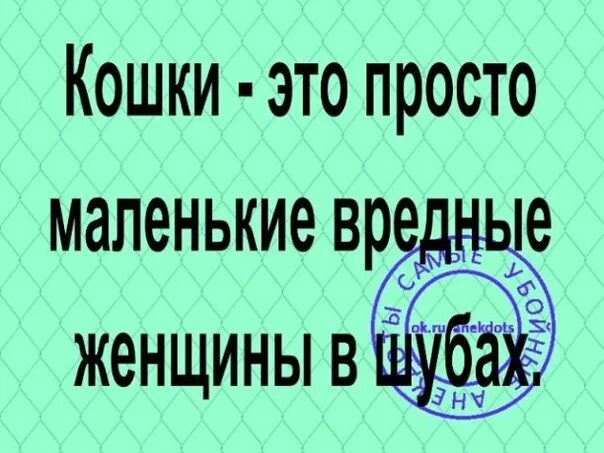 Еще спроси а где тут вожжи. Стих про гагарина. А где тут руль спросил гагарин деревня. Стишок пирожок. А где тут руль спросил гагарин.