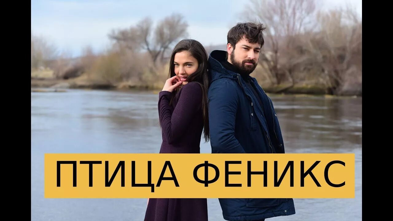 Птица феникс турецкий