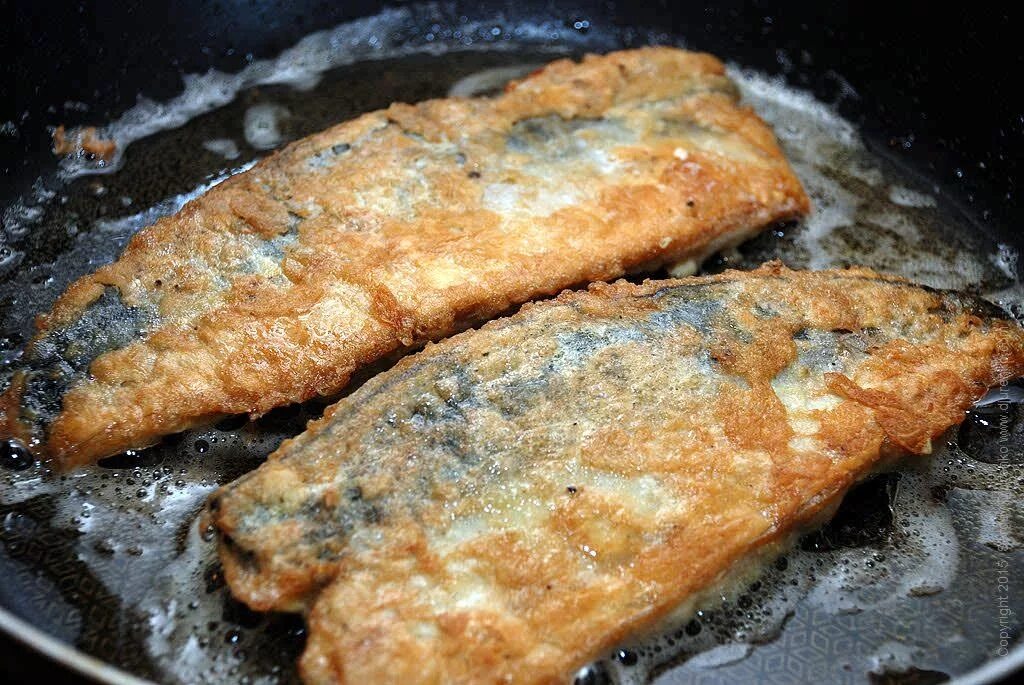 Жареная рыба скумбрия. Рыбка жареная скумбрия. Скумбрия на сковороде. Скумбрия жареная на сковородке. Пожарить легкие на сковороде